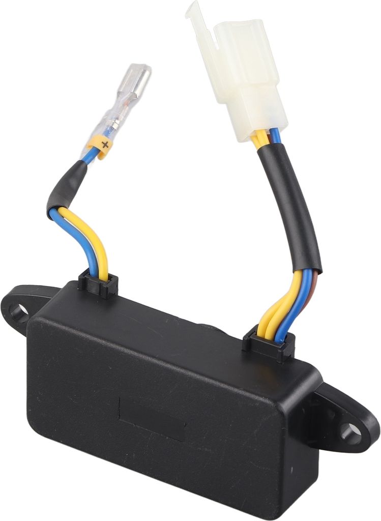 250V 220UF generátor Automatický regulátor napětí Obrázek produktu 