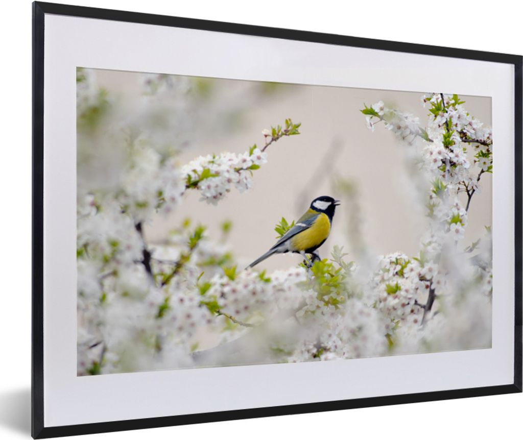 MuchoWow Gerahmtes Poster Vogel - Kohlmeise - Blumen - Blütenbaum 60x40 cm - Poster mit Schwarzem Bilderrahmen Wandposter Rahmen Foto Bilder - S...