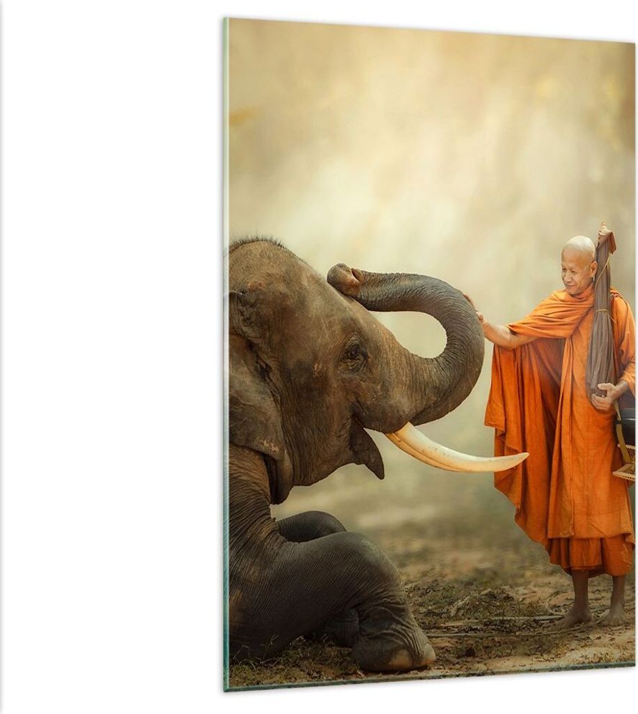 Bilder auf glas - Einteilig - Elefant Mönch Stoßzahn - 80x120cm - Glasbilder - Wandbilder - Bilder - zum Aufhängen bereit - Wanddekoration aus G...