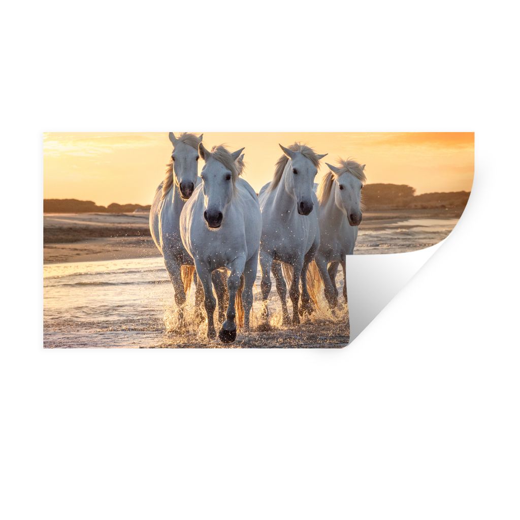 MuchoWow Wandtattoo Wandsticker Wandaufkleber Pferde - Wasser - Strand - Tiere 80x40 cm Selbstklebend und Repositionierbar - Aufkleber