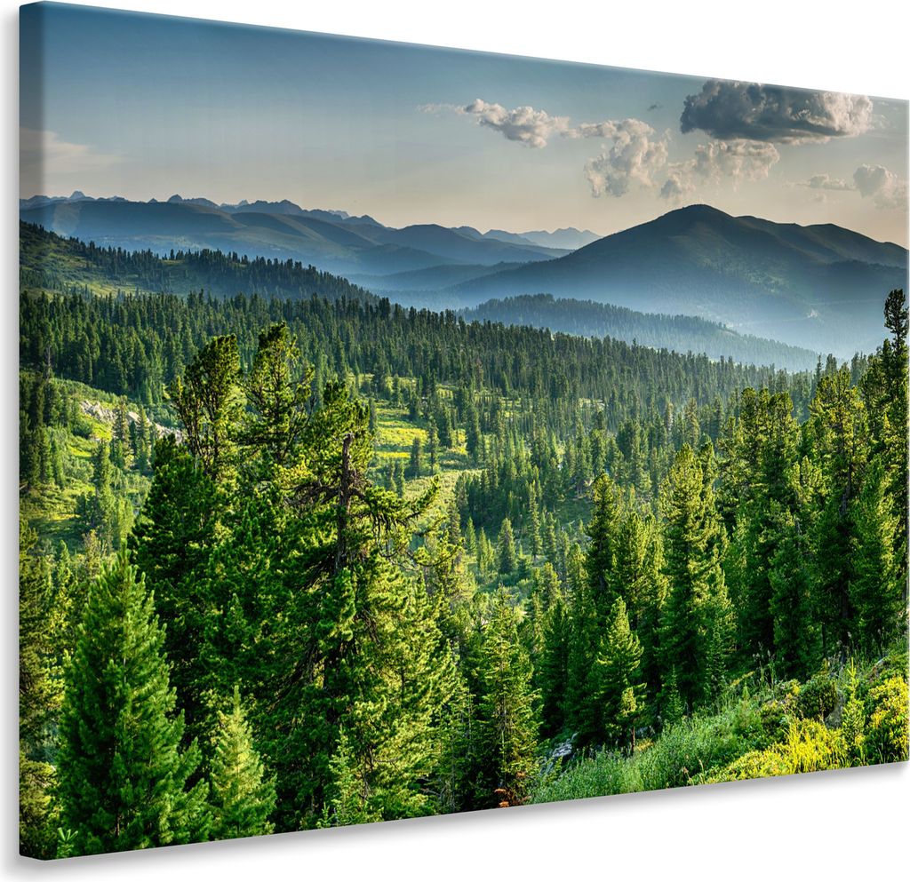 Muralo Leinwandbild Wandbild Canvas WALD Bäume See Himmel Berge Natur Landschaft 3D 100 cm x 70 cm