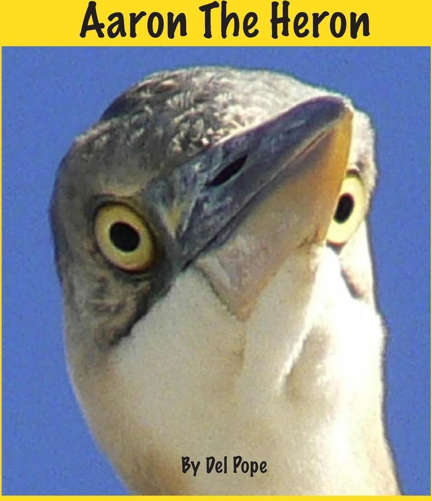Aaron The Heron