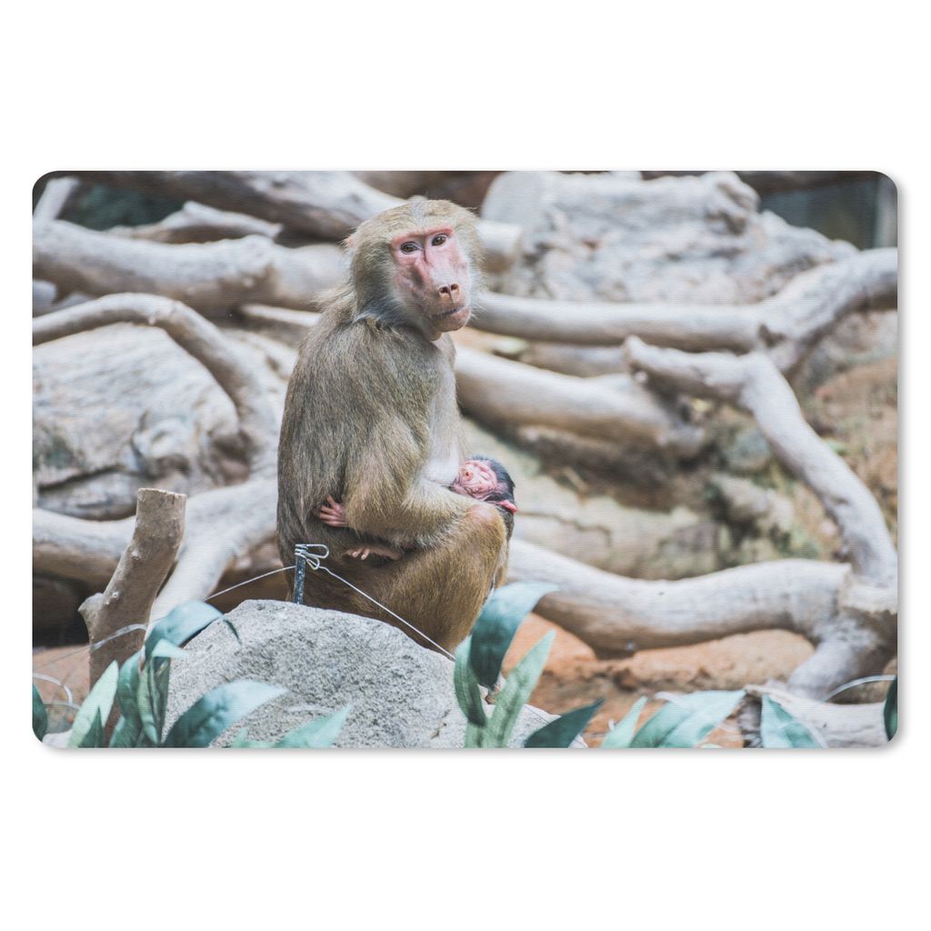 MuchoWow Schreibtischunterlage Affe - Junge - Zweig 60x40 cm - XXL Mauspad - Großes Mauspad