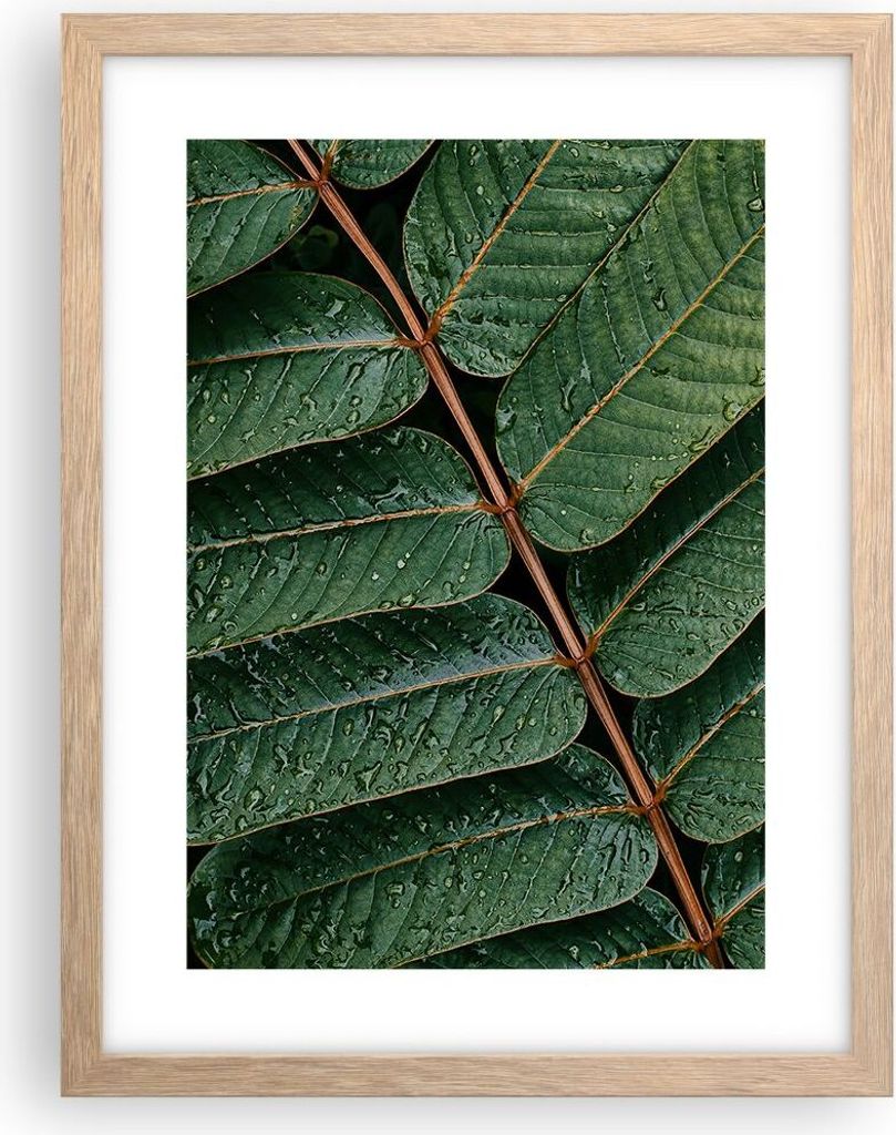 Gerahmtes Poster - Rahmen in heller Eiche - Tropfen Wasser Blätter - 30x40 cm - Wand Bild - Wanddeko - Wandbilder - Wandposter - Bilderrahmen - Bi...