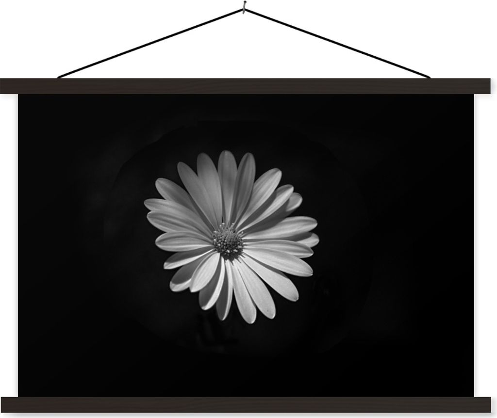 MuchoWow Textilposter Ein weißes Gänseblümchen auf schwarzem Hintergrund 60x40 cm mit schwarzem Rahmen - Hölzernes