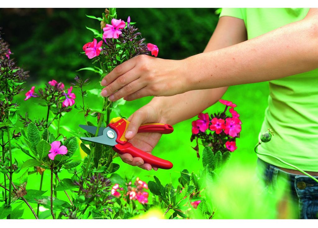 Wolf Garten Gartenschere RR 1500 BASIC PLUS bis zu Ø 18 mm Produktbild 