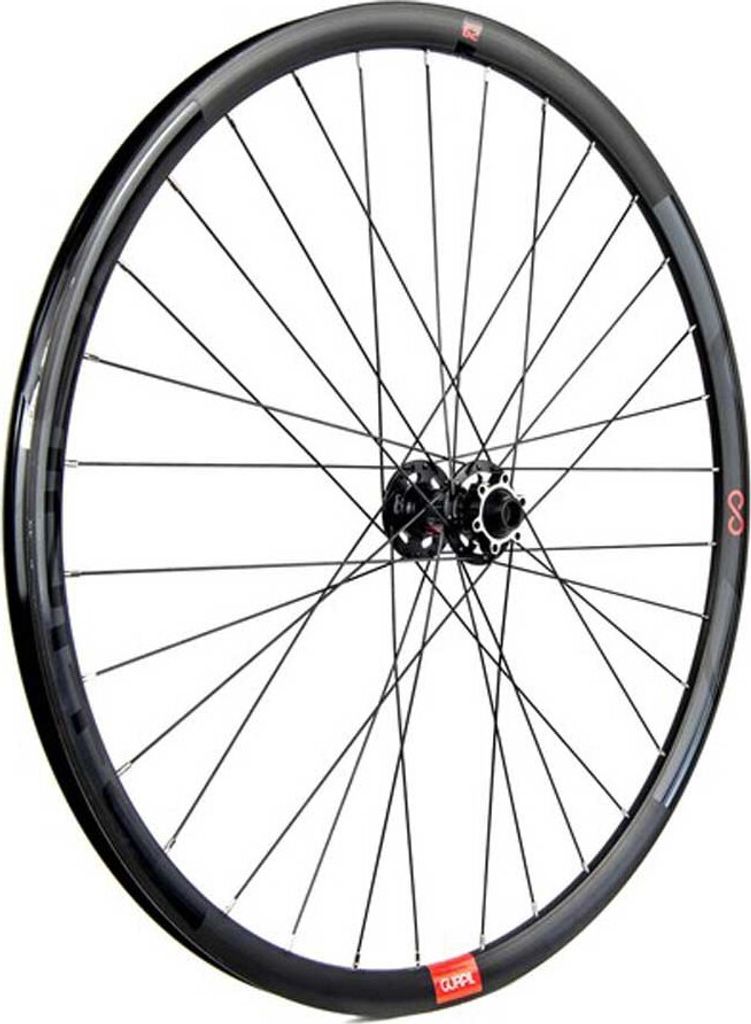 Gurpil Infinite 29 ́ ́ 6b Disc Mtb Vorderrad Schwarz 15 x 110 mm Schwarz 15 x 110 mm