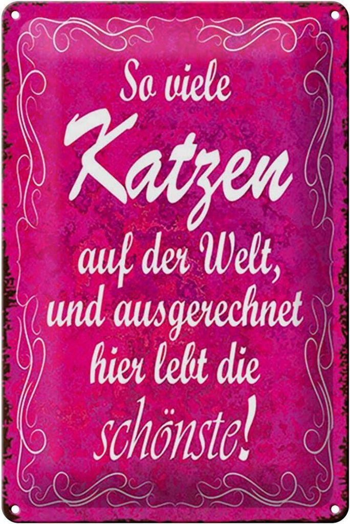 Blechschild Spruch 20x30cm so viele Katzen auf der Welt