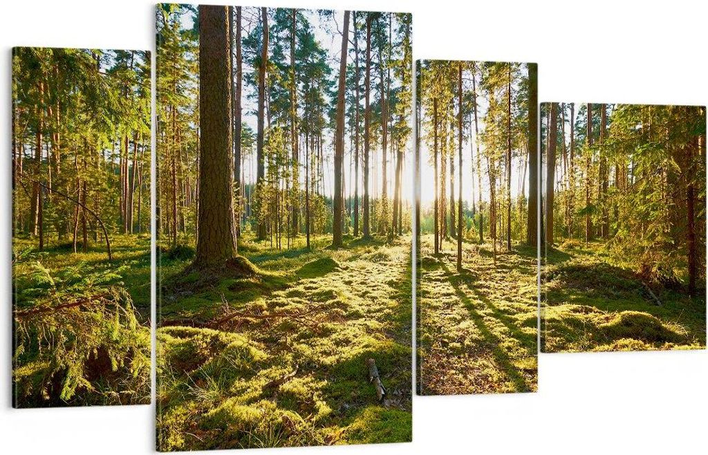 Bild auf Leinwand - Leinwandbild - Wald Baum Natur - 120x70cm - Wand Bild - Wanddeko - Wandbilder - Leinwanddruck - Bilder - Kunstdruck - Wanddekor...