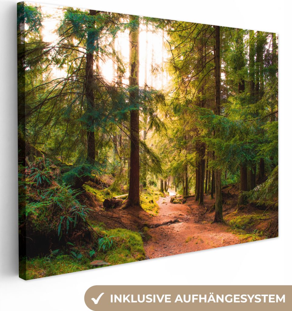 MuchoWow - Leinwandbilder - Wald - Weg - Bäume - Grün - Sonne - Natur, Wandbild, Wanddeko Bilder Wohnzimmer, 120x90 cm