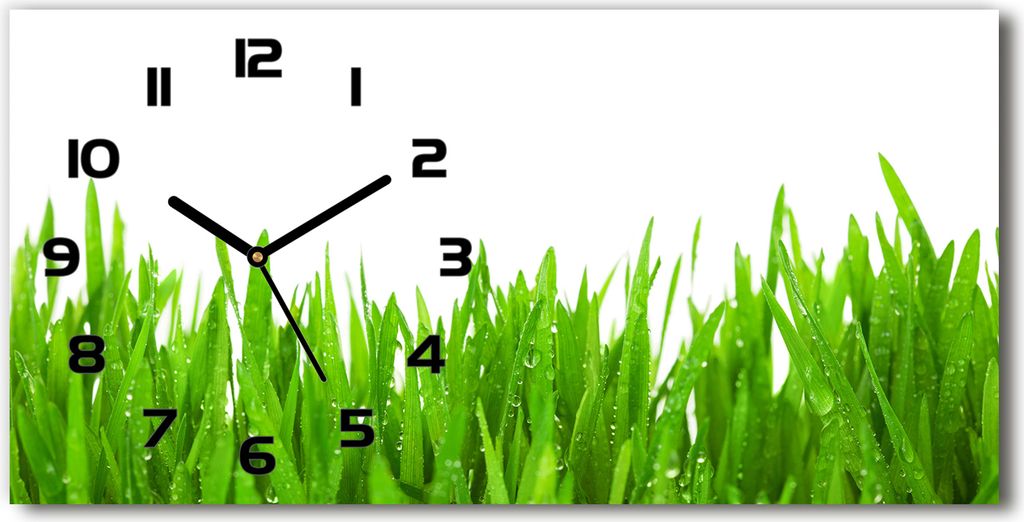 Wanduhr aus Glas – 60x30 cm - Glasbild - Glasuhr - Gehärtetes Glas - schwarze-zeiger - Gras