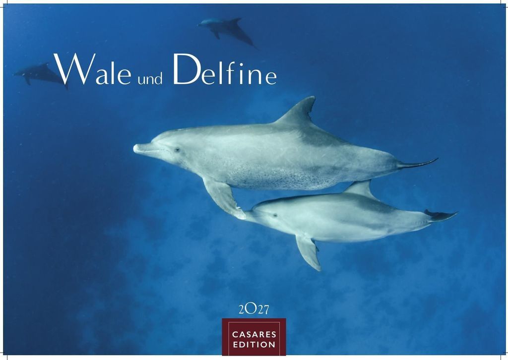 Wale und Delfine Kalender 2027 - Wandkalender | Fotokalender Tierkalender 35x50cm Grosses Format - Hochwertige Fotografien von Walen und Delfinen, ...