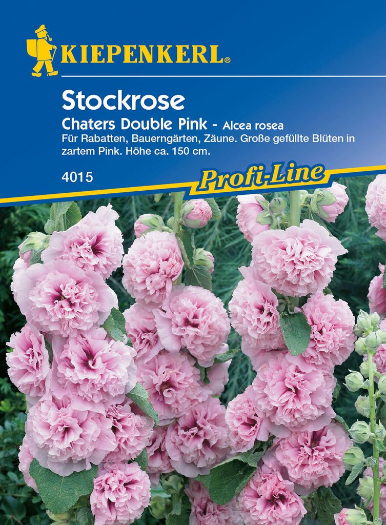 KIEPENKERL Stockrose Alcea Chaters Pink