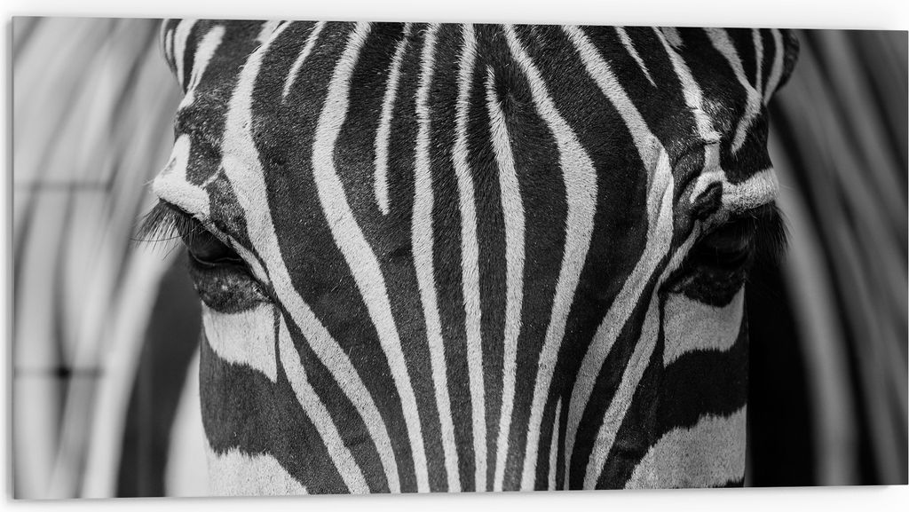 DEQORI Küchenrückwand Glas 80x40 cm 'Streifenpracht' Spritzschutz Bad Rückwand Küche