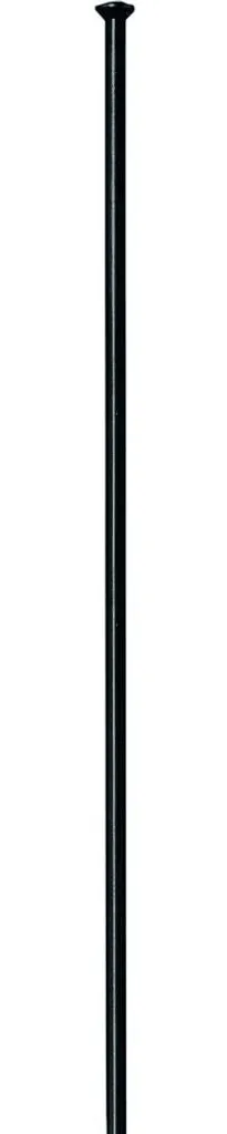 Rayon vélo route et VTT DT Swiss Competition 238 mm noir lot 100