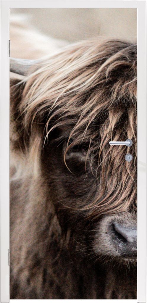 MuchoWow Türtapete Selbstklebende Türfolie Schottischer Highlander - Fell - Tier 85x205 cm Türposter Türaufkleber Klebefolie Türklebefolie -...
