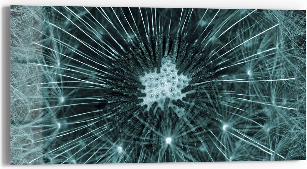 DEQORI Glasbild Echtglas 60x30 cm 'Mystische Blüte' Wandbild Bild modern Deko