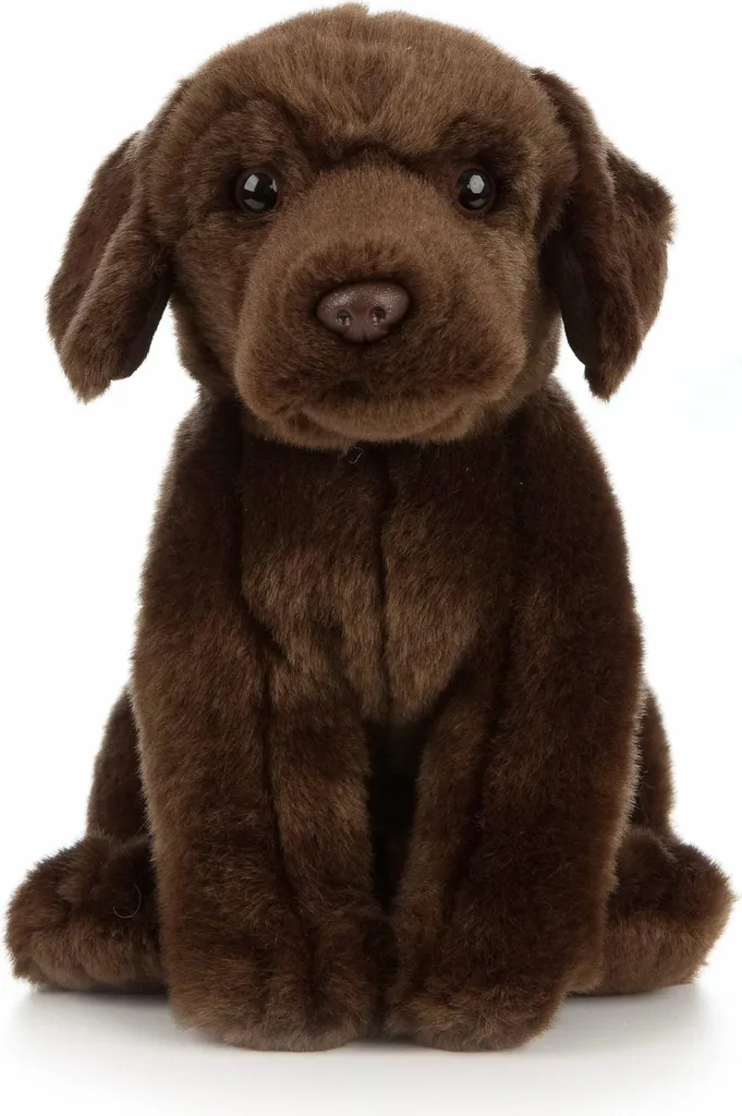 Petit Labrador Chocolat en Peluche 20cm - Idéal pour Cadeau de Naissance