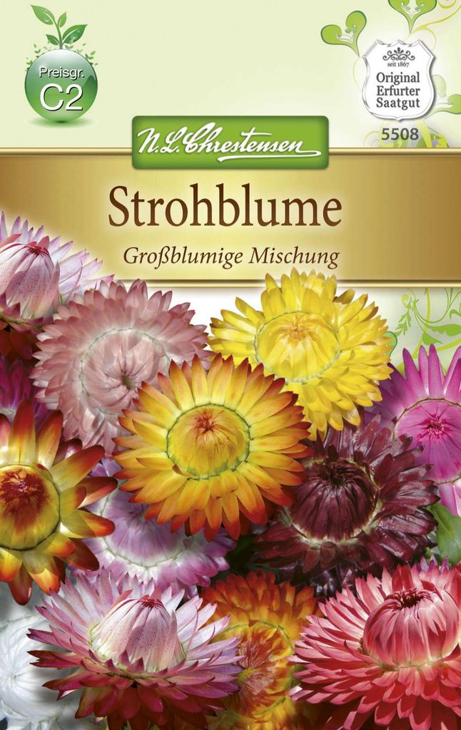 Strohblume Mischung | Blumensamenmischung von N.L. Chrestensen