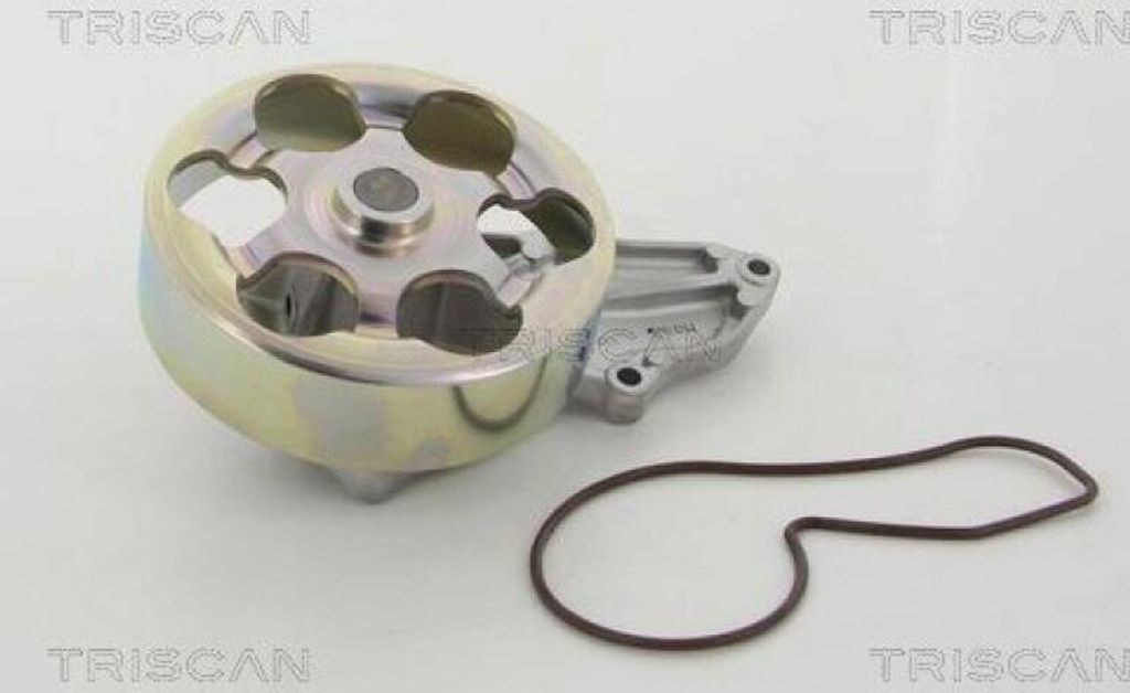 TRISCAN Wasserpumpe 8600 40016