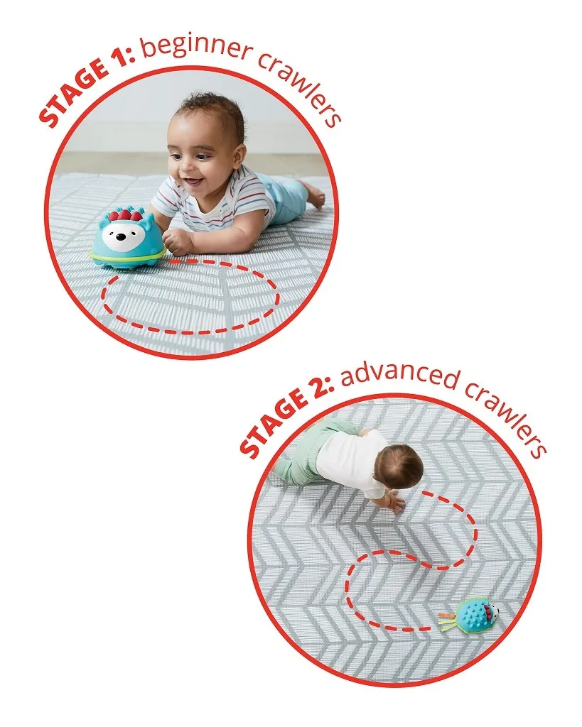 Hérisson interactif Skip Hop Explore & More avec capteur anti-obstacle - 12