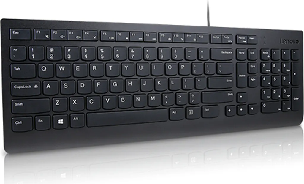 Clavier d'ordinateur filaire Lenovo Essential USB noir 4Y41C68656 AZERTY