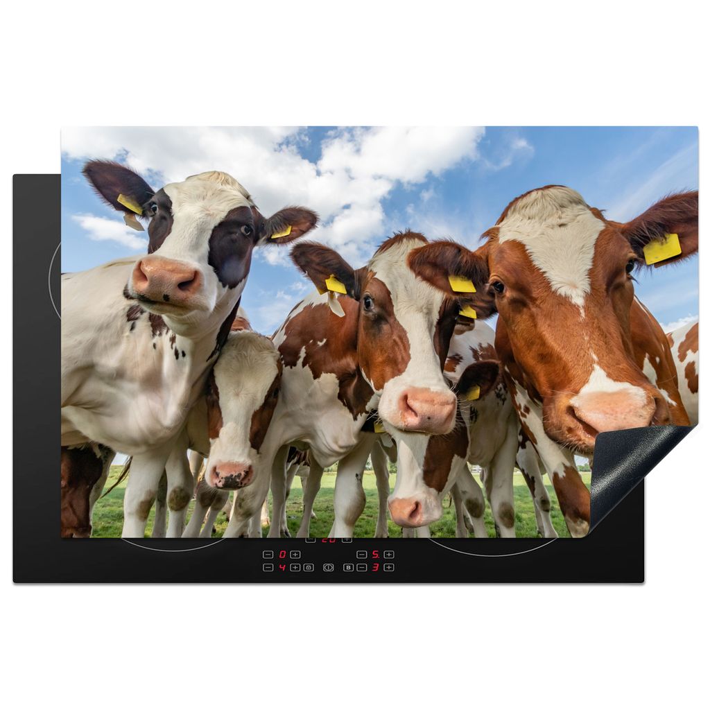 KitchenYeah Herdabdeckplatte Kühe - Tiere - Wiese - Natur , 80x52cm, Küche Deko, Glaskeramikkochfeld Herdabdeckung, Abdeckplatte fùr Kochfeld