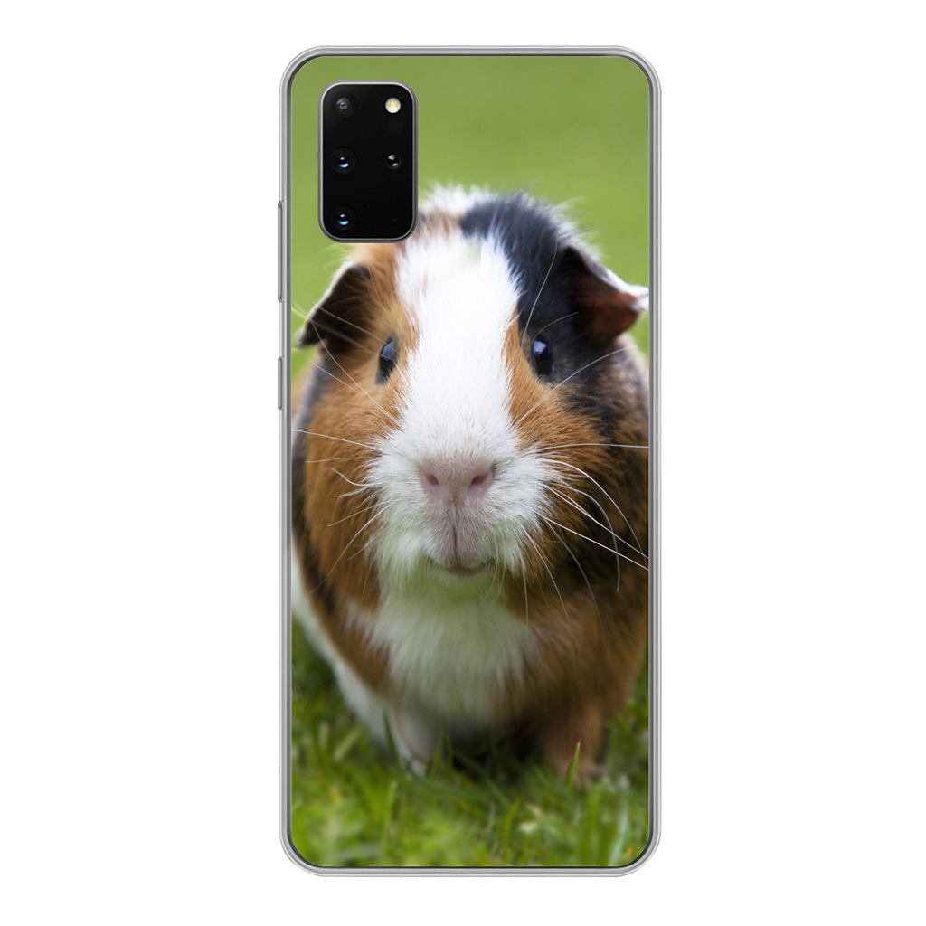MuchoWow Handyhülle Schutzhülle Hülle für Samsung Galaxy S20 Plus Zwei Meerschweinchen Silikon Softcase Handy Hülle - Hartschale