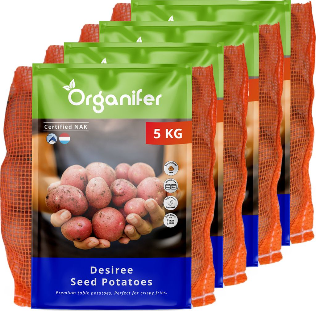 Saatkartoffeln Desiree A 28/35 (20 kg) - Organifer