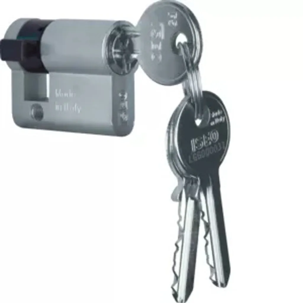 Cylindre de Fermeture Berker Zyl - Insert de Serrure pour Installations