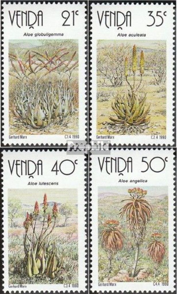 Briefmarken Südafrika - Venda 1990 Mi 209-212 (kompl.Ausg.) postfrisch Aloen