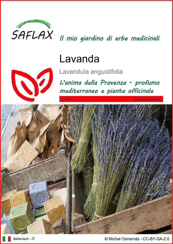SAFLAX  - Lavanda - 150 semi - Lavandula Immagine del prodotto 