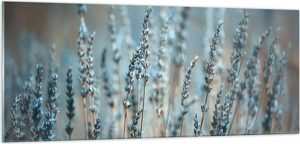 Bilder auf glas - Einteilig - Lavendel Klinge Blume - 100x40cm - Glasbilder - Wandbilder - Bilder - zum Aufhängen bereit - Wanddekoration aus Glas...