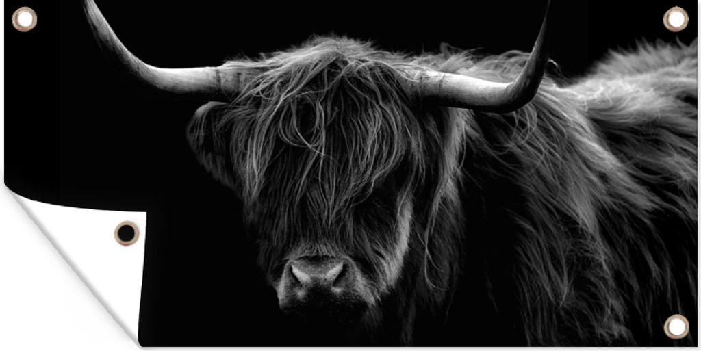 MuchoWow 160x80 cm Outdoor-Poster Gartendeko Sichtschutz Garten Poster für den Garten Schottischer Highlander - Hörner - Schwarz - Tiere - Nat...