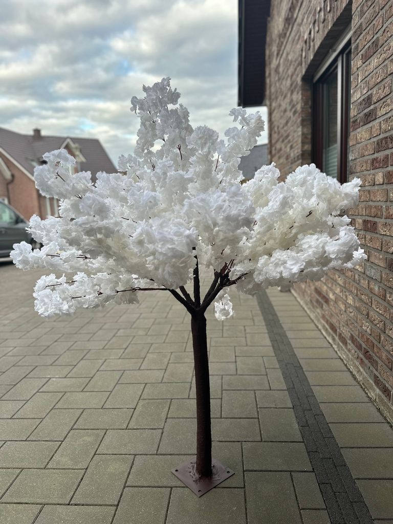 Dekobaum, Kirschblüte, Sakura, Deko, Tischdeko NEU160 cm Produktbild 
