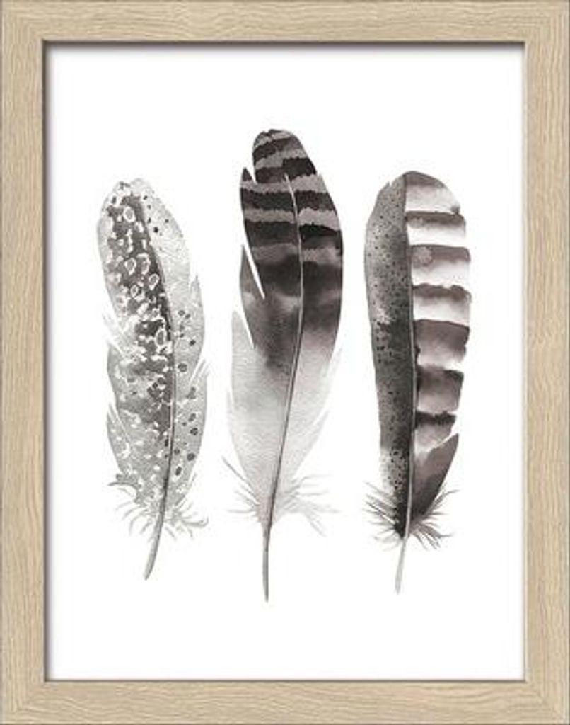 Gerahmtes Bild Three Brown Feathers 19x24 cm