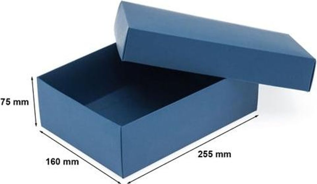Dekorative Geschenkbox 255 x 160 x 75 Blau L