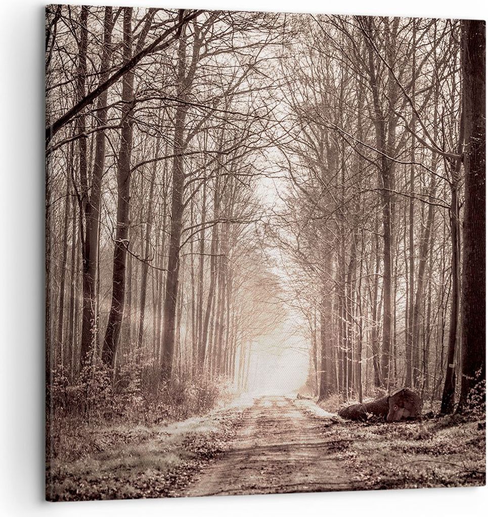 Bild auf Leinwand - Leinwandbild - Wald Straße Baum - 50x50cm - Wand Bild - Wanddeko - Wandbilder - Leinwanddruck - Bilder - Kunstdruck - Wanddeko...