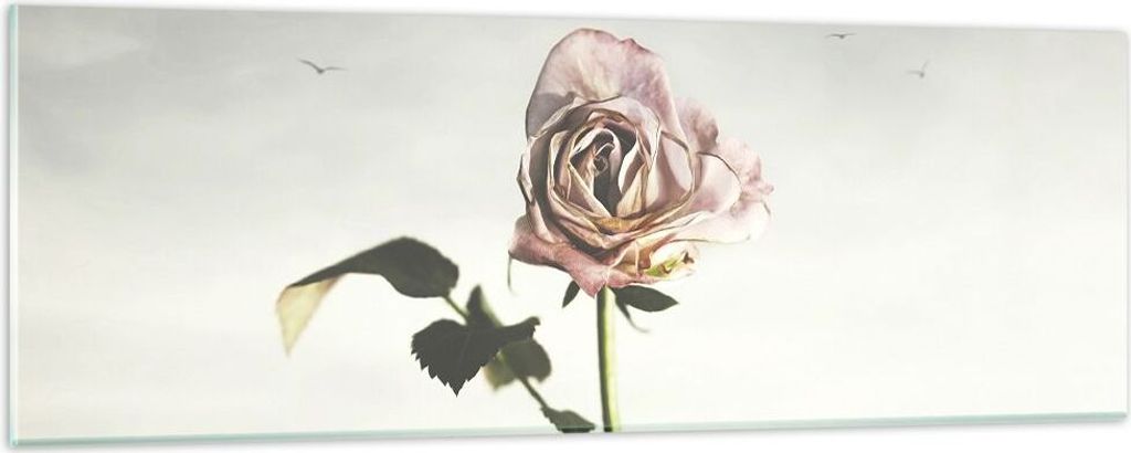 Bilder auf glas - Einteilig - Rose Vögel Himmel - 90x30cm - Glasbilder - Wandbilder - Bilder - zum Aufhängen bereit - Wanddekoration aus Glas - G...