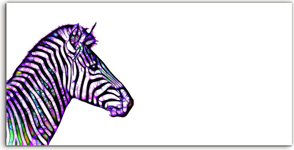 Coloray Canvas 140x70 Wandbild Leinwand Bilder Foto Bild groß Zebra Aquarell Tier