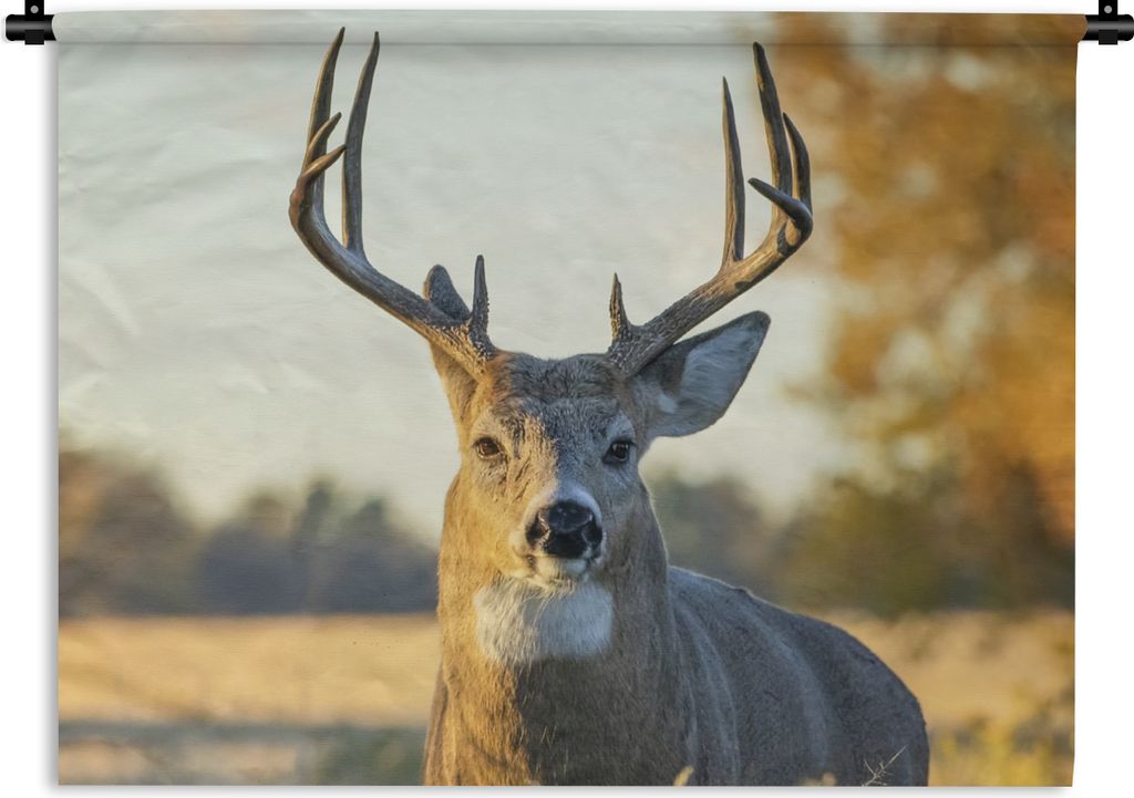 MuchoWow Wandteppich Wandbehang Hirsche - Gras - Herbst - Geweih - Natur - Tiere 150x112.50 cm Tapisserie Dekoration Wandtuch - Wanddecke - Wandt...