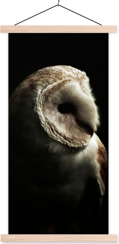 MuchoWow Textilposter Eule - Vogel - Porträt 60x120 cm mit holzfarbenen Rahmen - Holz