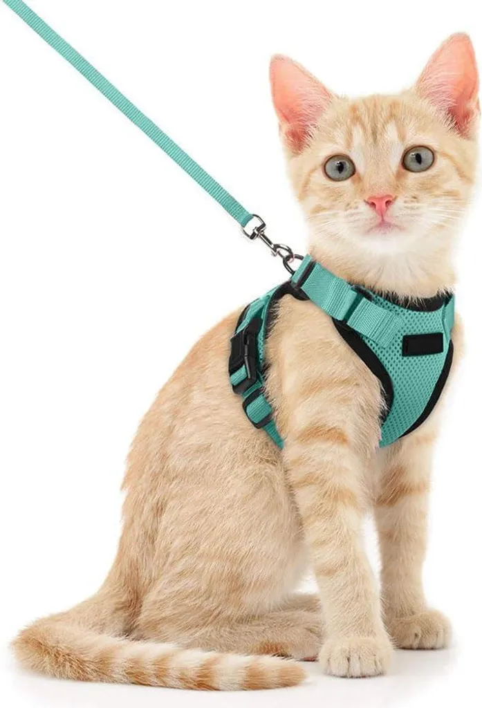 Harnais voyage pour chat Allecto Premium ajustable avec attache voiture