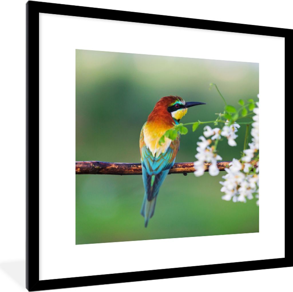 MuchoWow Gerahmtes Poster Vogel - Bienenfresser - Blumen 40x40 cm - Poster mit Schwarzem Bilderrahmen Wandposter Rahmen Foto Bilder - Poster - Pl...