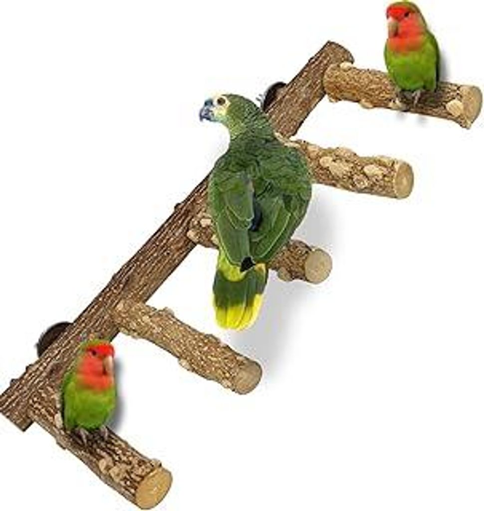 Vogelständer, Papageien-Sitzstange, Naturholz Vogelsitzstangen Gestuft, Spielzeug Vogelkäfig-Zubehör für Kleine, Mittelgroße Papageien, Wellen...