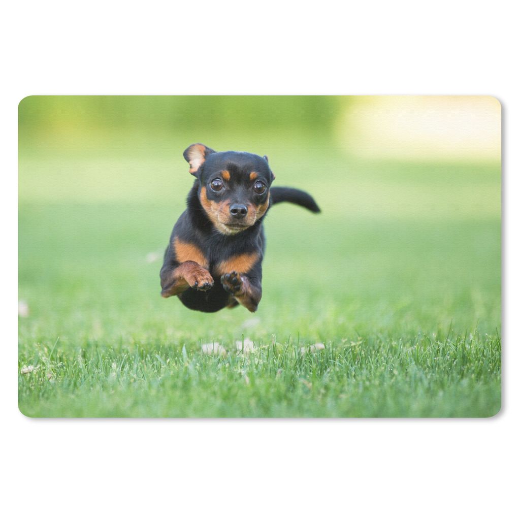 MuchoWow Mauspad Mousepad Ein Chihuahua hüpft durchs Gras 27x18 cm - Mousepads - Maus Mat - Pad - Mausunterlage - Büroartikel - Desk Matten