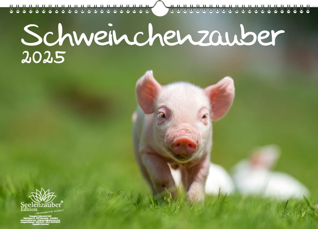 Schweinchenzauber DIN A3 Kalender für 2025 Schweine Schweinchen - Seelenzauber