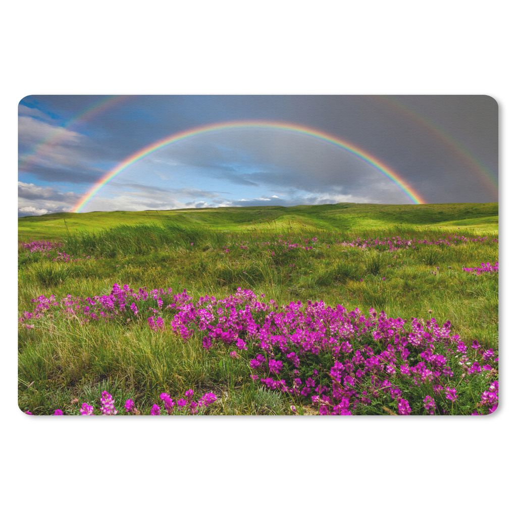 MuchoWow Schreibtischunterlage Regenbogen - Blumen - Heidekraut 60x40 cm - XXL Mauspad - Großes Mauspad