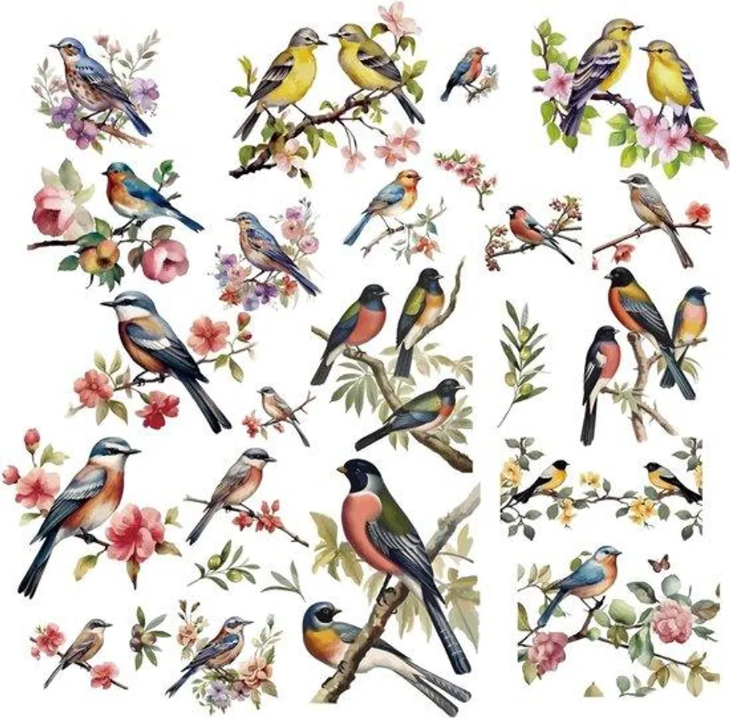 Stickers oiseaux repositionnables effet aquarelle pour mur et vitre