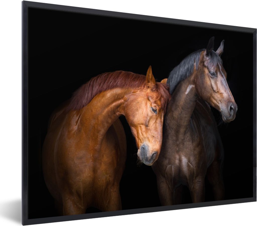 MuchoWow Gerahmtes Poster Pferde - Tiere - Porträt - Braun 40x30 cm - Poster mit Schwarzem Bilderrahmen Wandposter Rahmen Foto Bilder - Kunstpos...